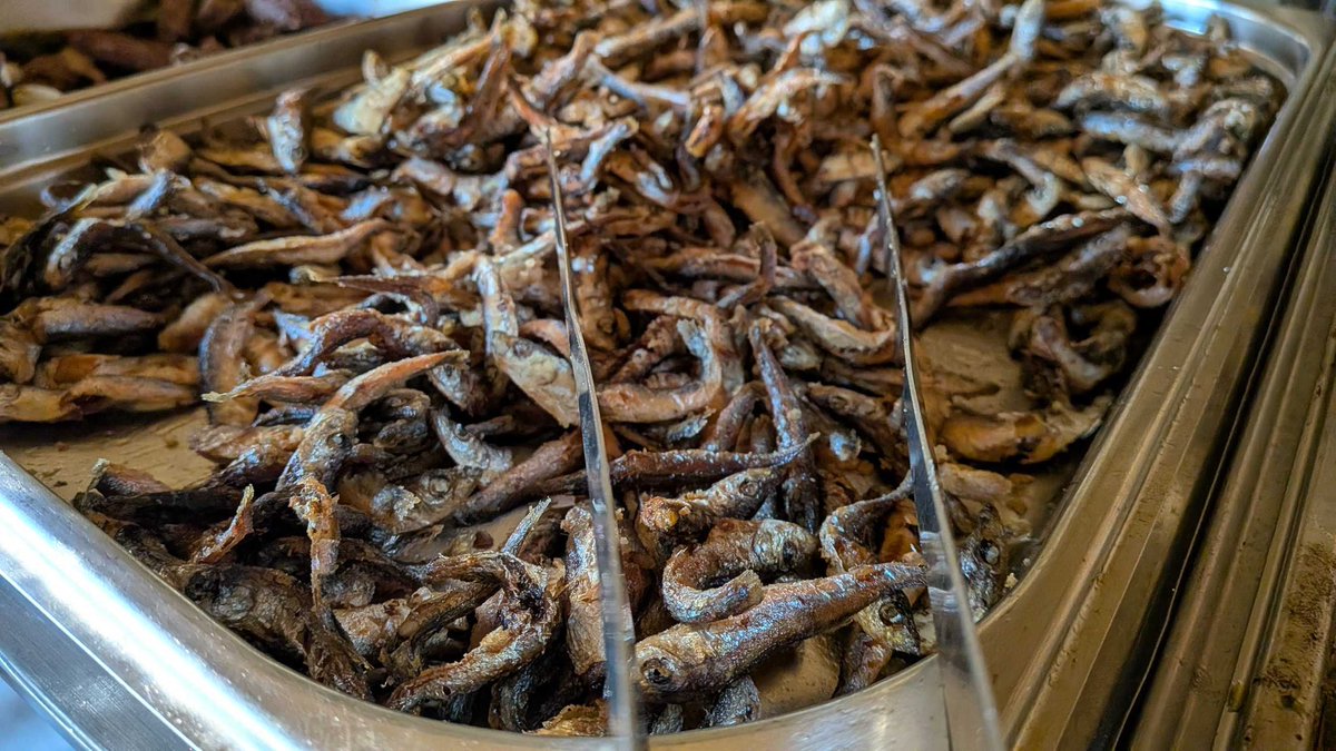 Even more!!! Those not there are missing a treat!