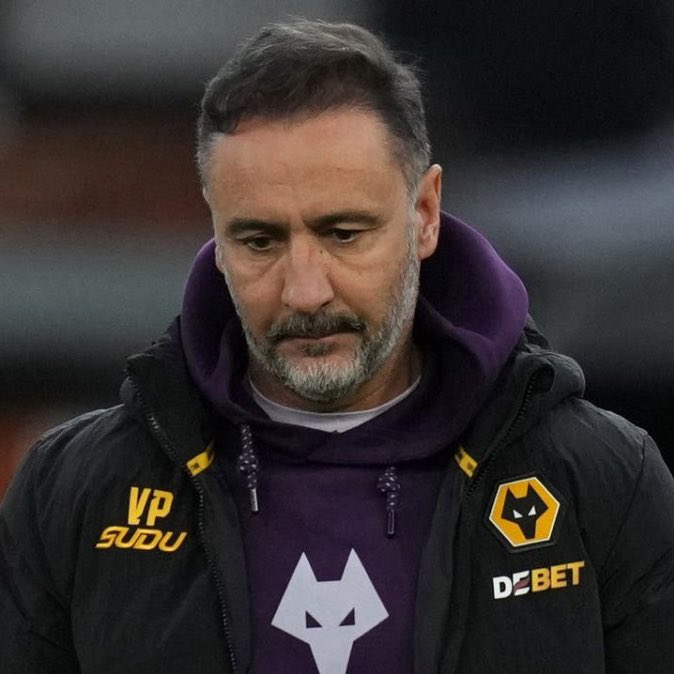 Talking Wolves tweet media