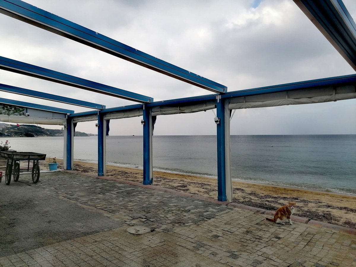 msbalioglu's tweet image. 02.11.25