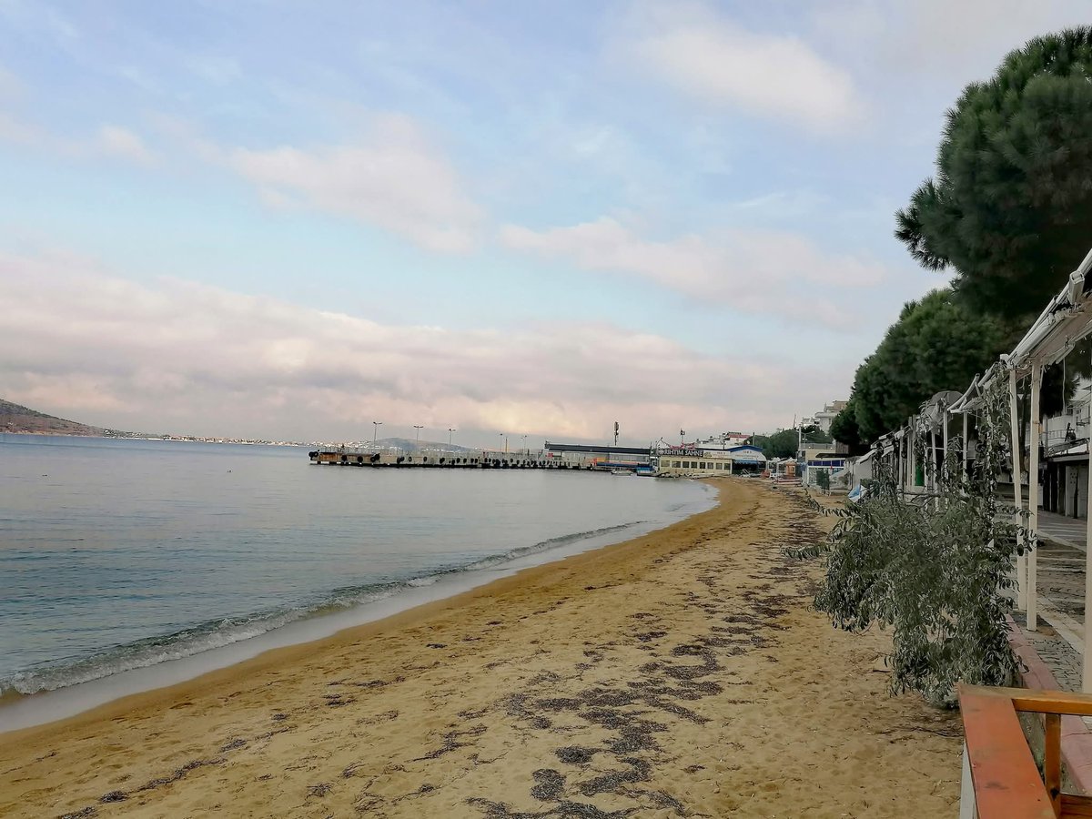 msbalioglu's tweet image. 02.11.25