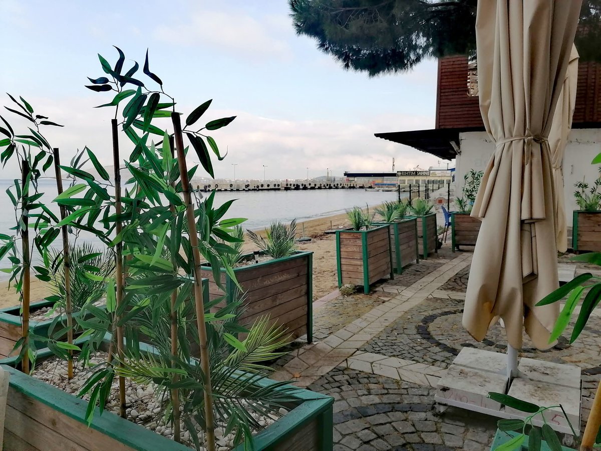 msbalioglu's tweet image. 02.11.25