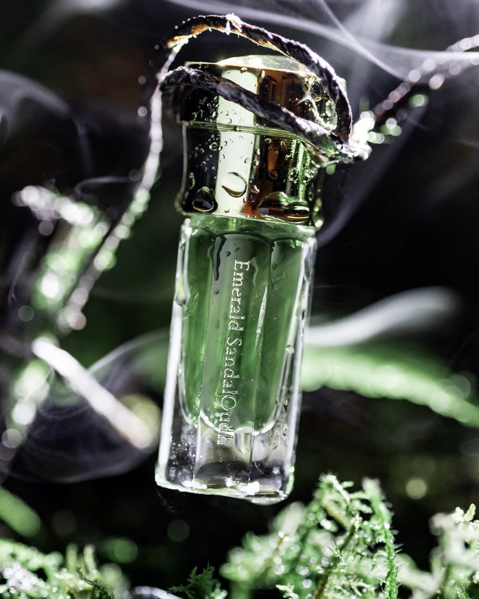 しかを (@shikao0901) / Posts / X