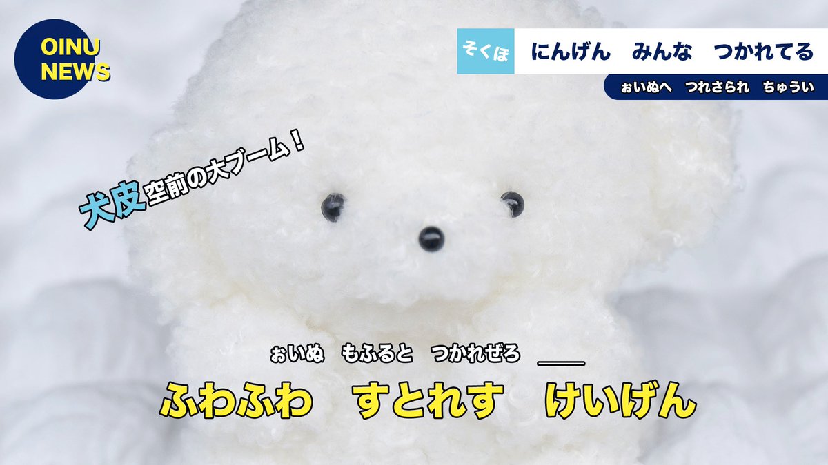 じょせまる (@josemaru_model) on Twitter photo 