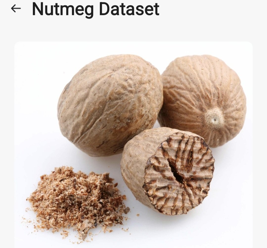 ChicryptoAi's tweet image. New AI Task Alert! 🚨
Snap pics of nutmeg, upload on OORT DataHub, &amp;amp; earn $OORT tokens 💰

No fancy gear needed , just your phone 📸
Fun, fast &amp;amp; pays!

👉 Link in Comments section 
#OORTDataHub #EarnWithAI #SideHustle #AIMission