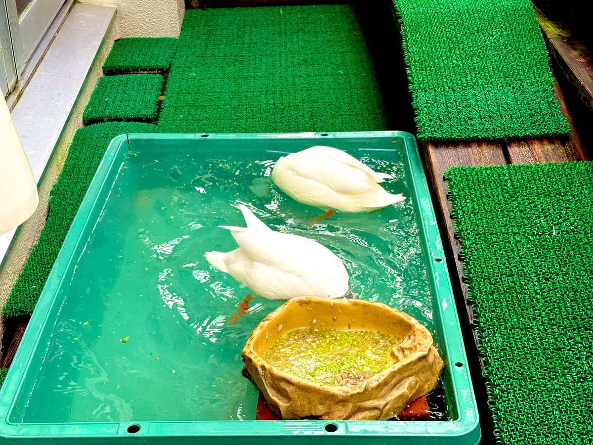 くま♪(๑ᴖ◡ᴖ๑)♪ページ くま♪(๑ᴖ◡ᴖ๑)♪ページ 宇多田ヒカル