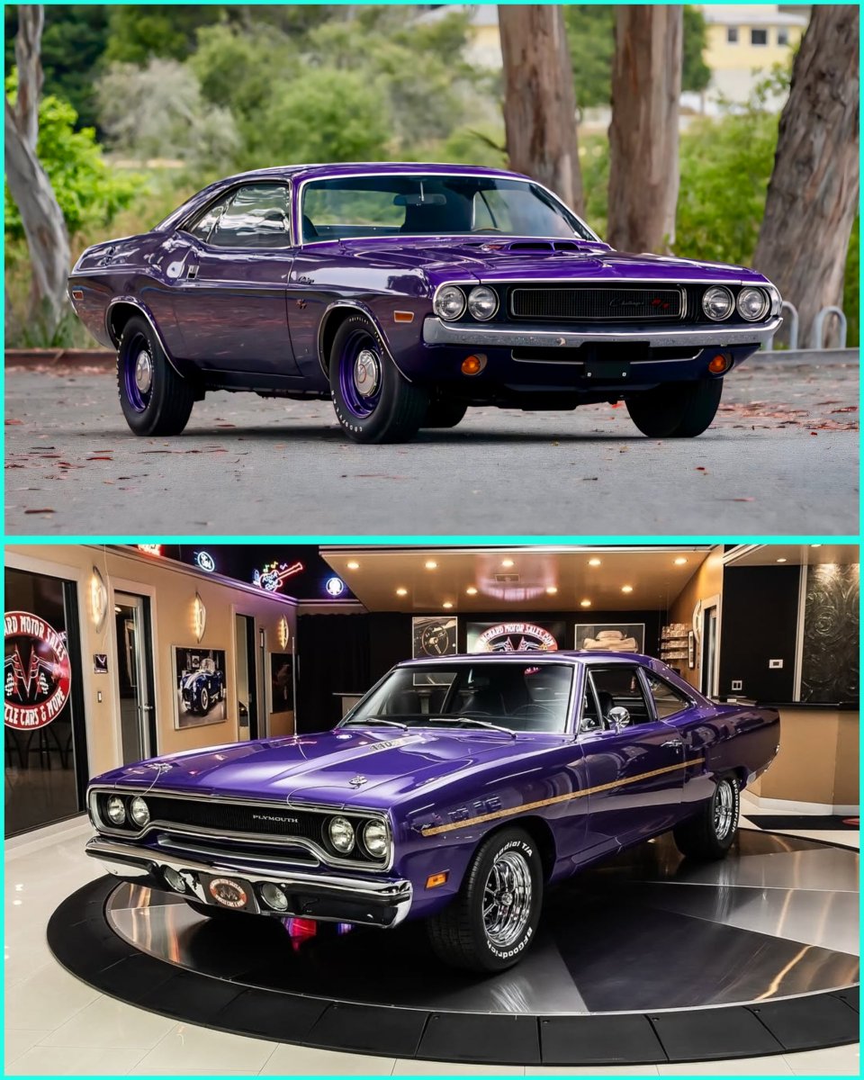 Challenger or Roadrunner