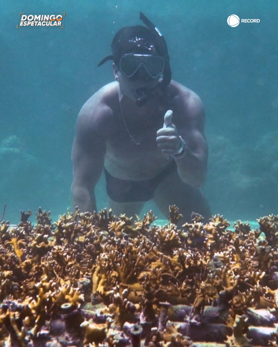 Alvaro Garnero (@AlvaroGarnero) / Posts / X