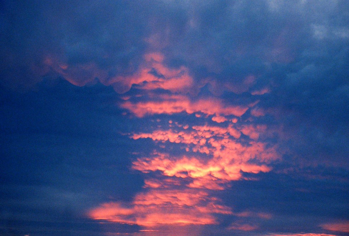 馬込将充 (@_mago0108) on Twitter photo 