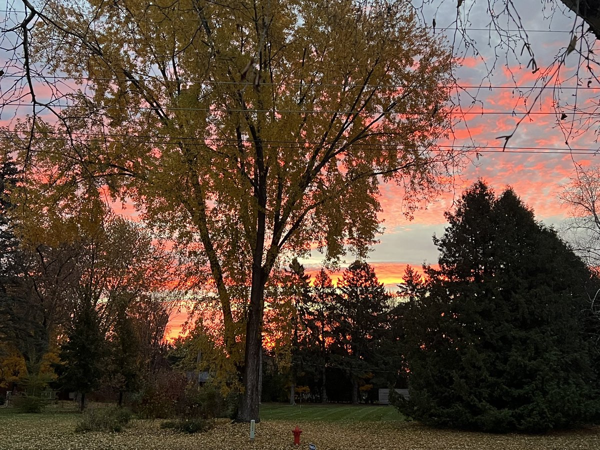 Mark Solberg tweet media