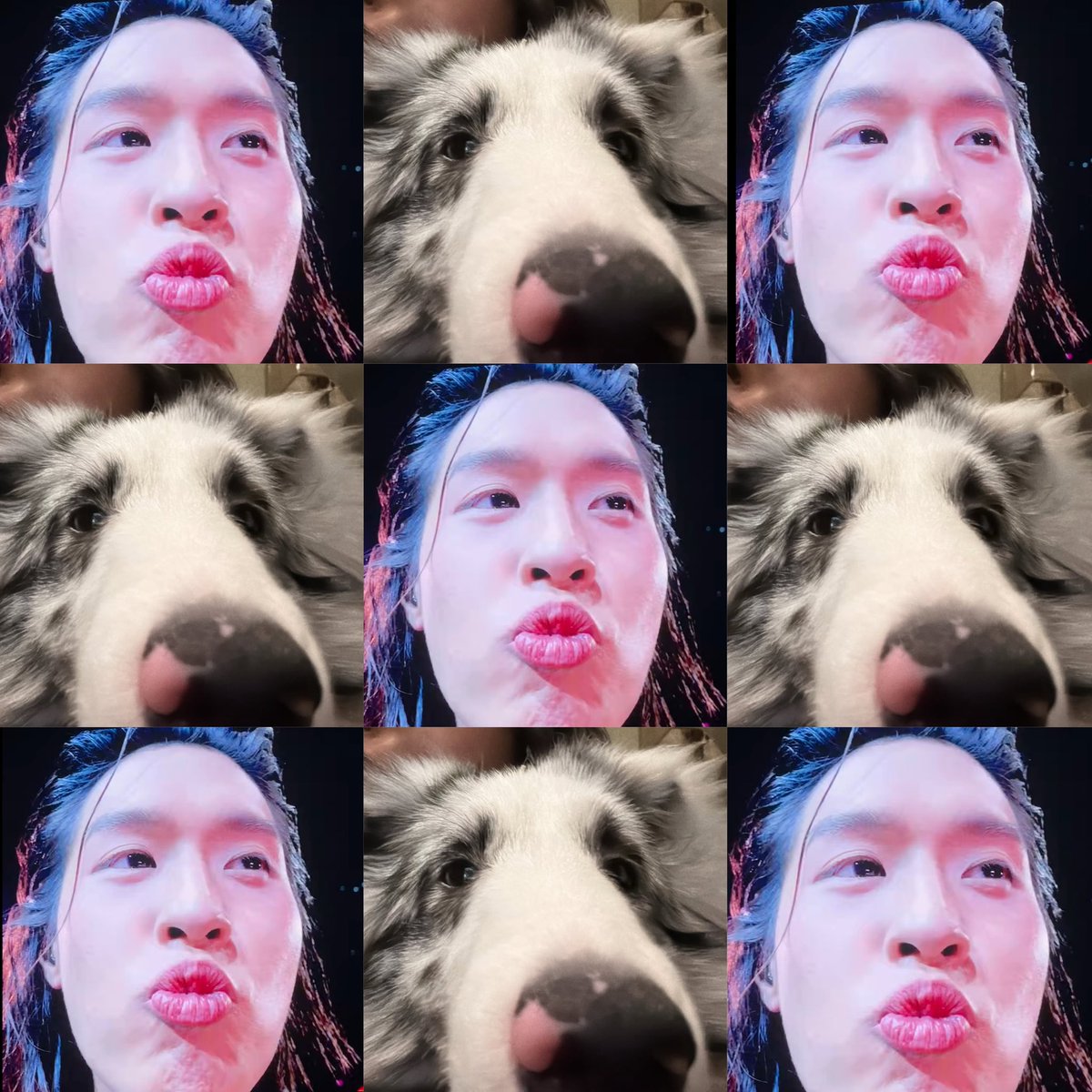 🐷🐷🐷🐷🐷🐷🐷🐷🐷🐽🐷🐽🐷🐽🐷🐷🐷🐽🐽🐷🐽🐷🍅🐷🐽🐽🐽🍅🍅🐽🐷🐽🐷🐽🍅🍅🍅🍅🐷🐷🐷🐽🍅🐷🐷🐷🐽🐽🍅🍅🍅🍅🐷🐽🐷🍅🍅🍅🐽🐷🐽🍅🍅🐷🍅🍅🐽🐽🐽🐷🐽🐽🐽🐷🐷🐷🐷🐷🍅🍅🐽🐽🐷🐽🍅