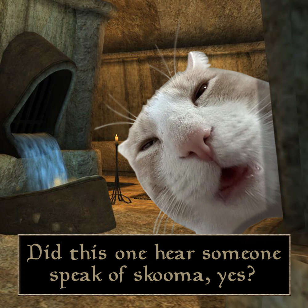 Doofuzz1's tweet image. 