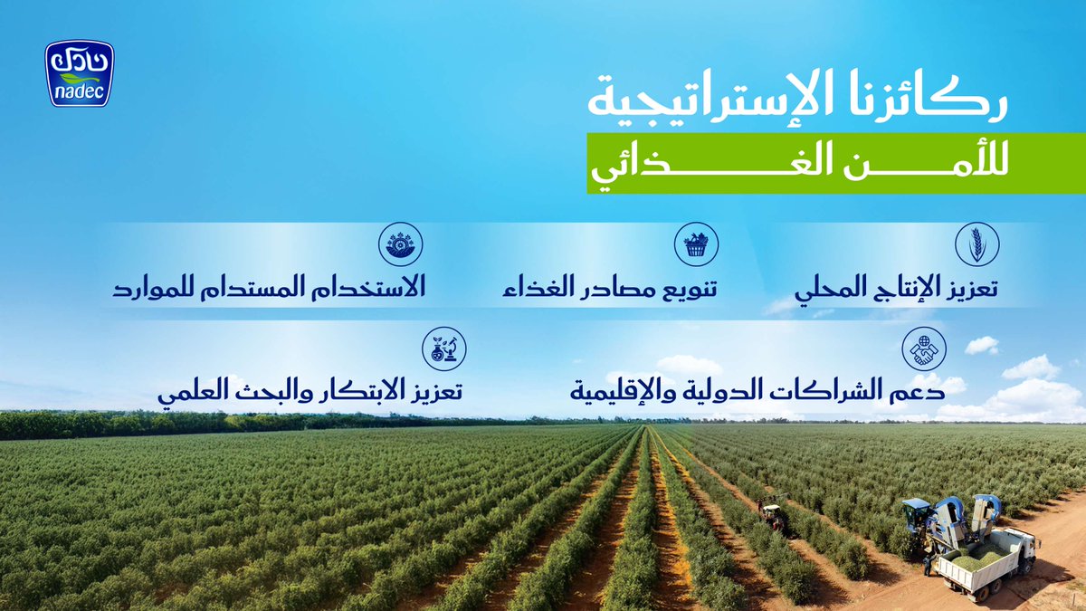 نلتزم في استراتيجية #نادك للأمن الغذائي بتعزيز الإنتاج المحلي وتنويع مصادر الغذاء من خلال أفكار مبتكرة تدعم الاستدامة وتعزز دور البحث العلمي في المجال الزراعي والغذائي.