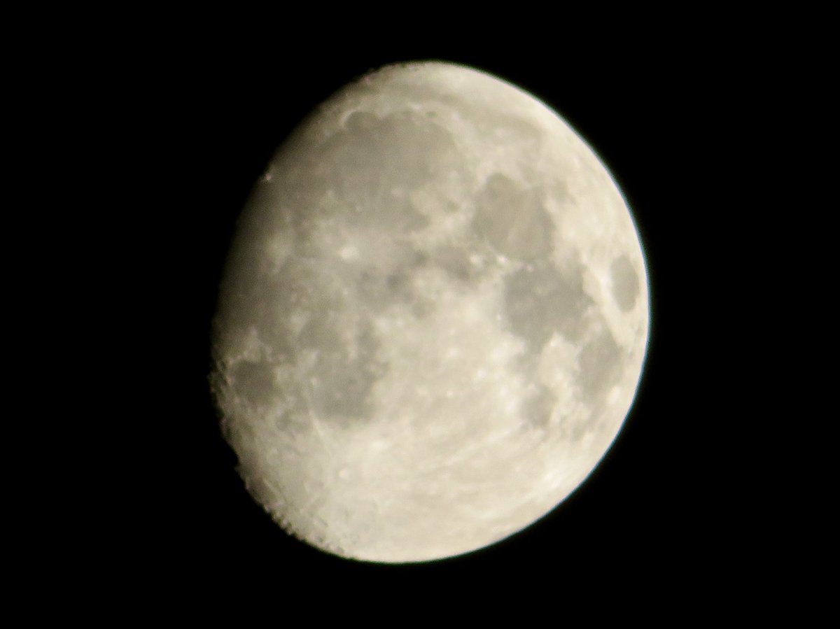 ダラダラ ぱんだ (@zWxmCBXIFixNoMg) / Posts / X