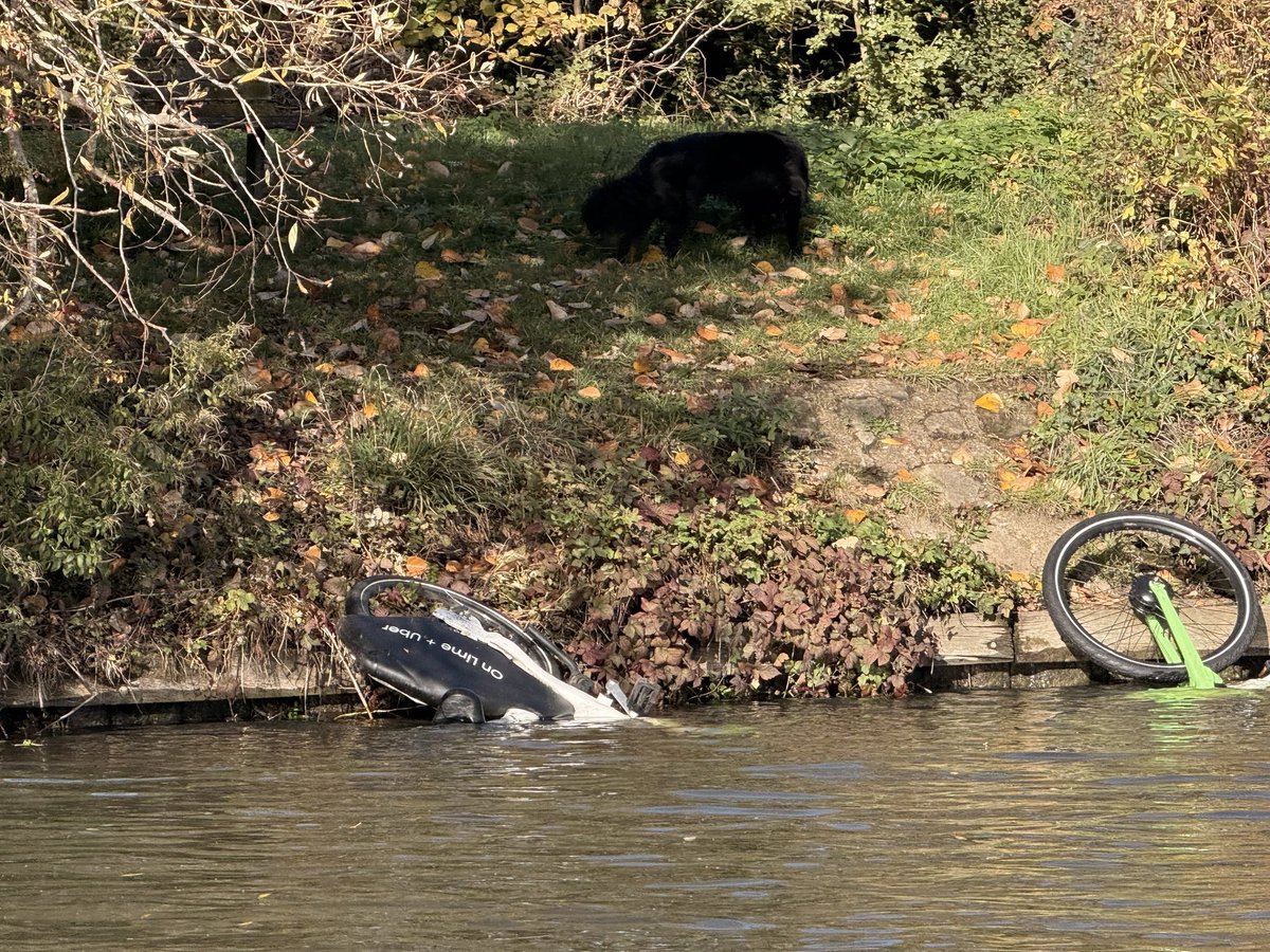 About Thames Ditton tweet media