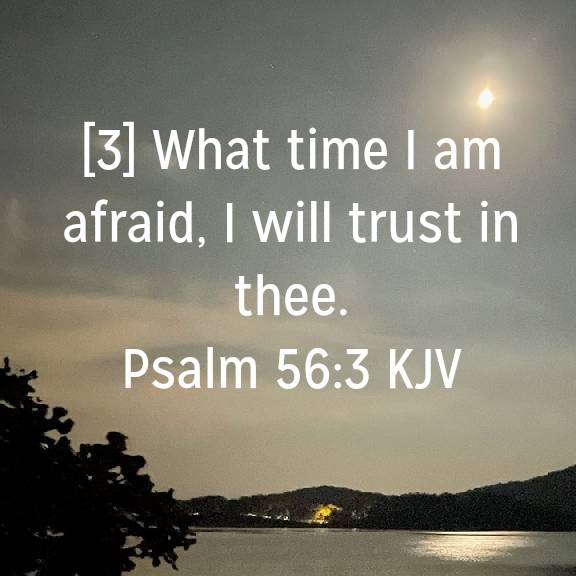 Psalm 56:3 KJV
[3] What time I am afraid, I will trust in thee.

bible.com/bible/1/psa.56…
