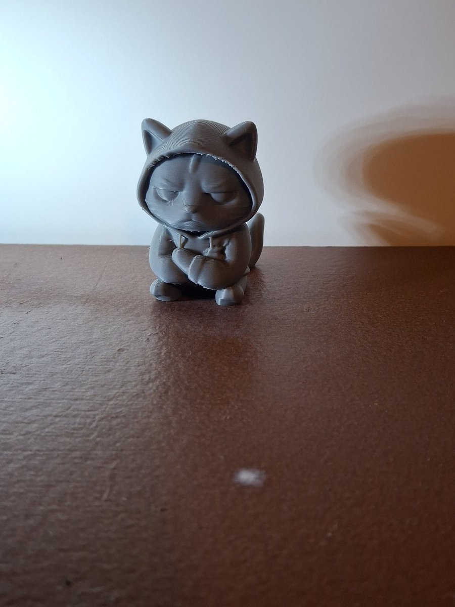 Project3Dprints's tweet image. I really like this 3d printed cat #3dprinting #3dprint #etsyshop