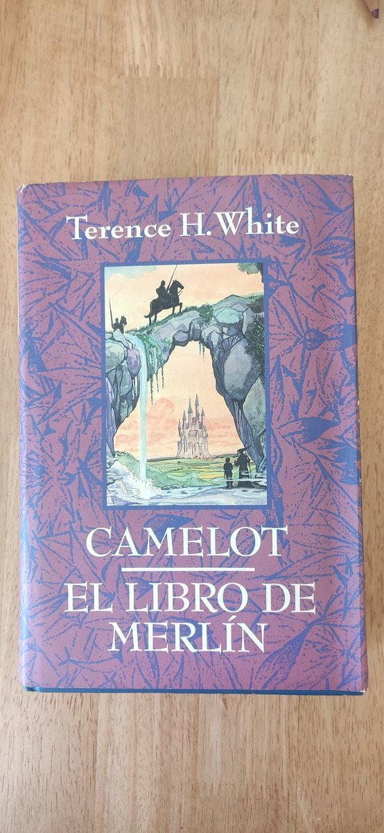 Por 1 € en el mercadillo de los Pajaritos 🤩, me siento como <a href="/Crastino/">Óscar González Camaño</a> compartiendo sus hallazgos.