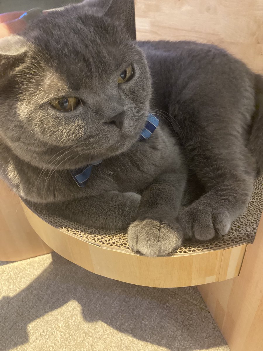 ꪔ̤̥ꪔ̤̮ꪔ̤̫なつきꪔ̤̥ꪔ̤̮ꪔ̤̫ (@7272Dragon) / Posts / X