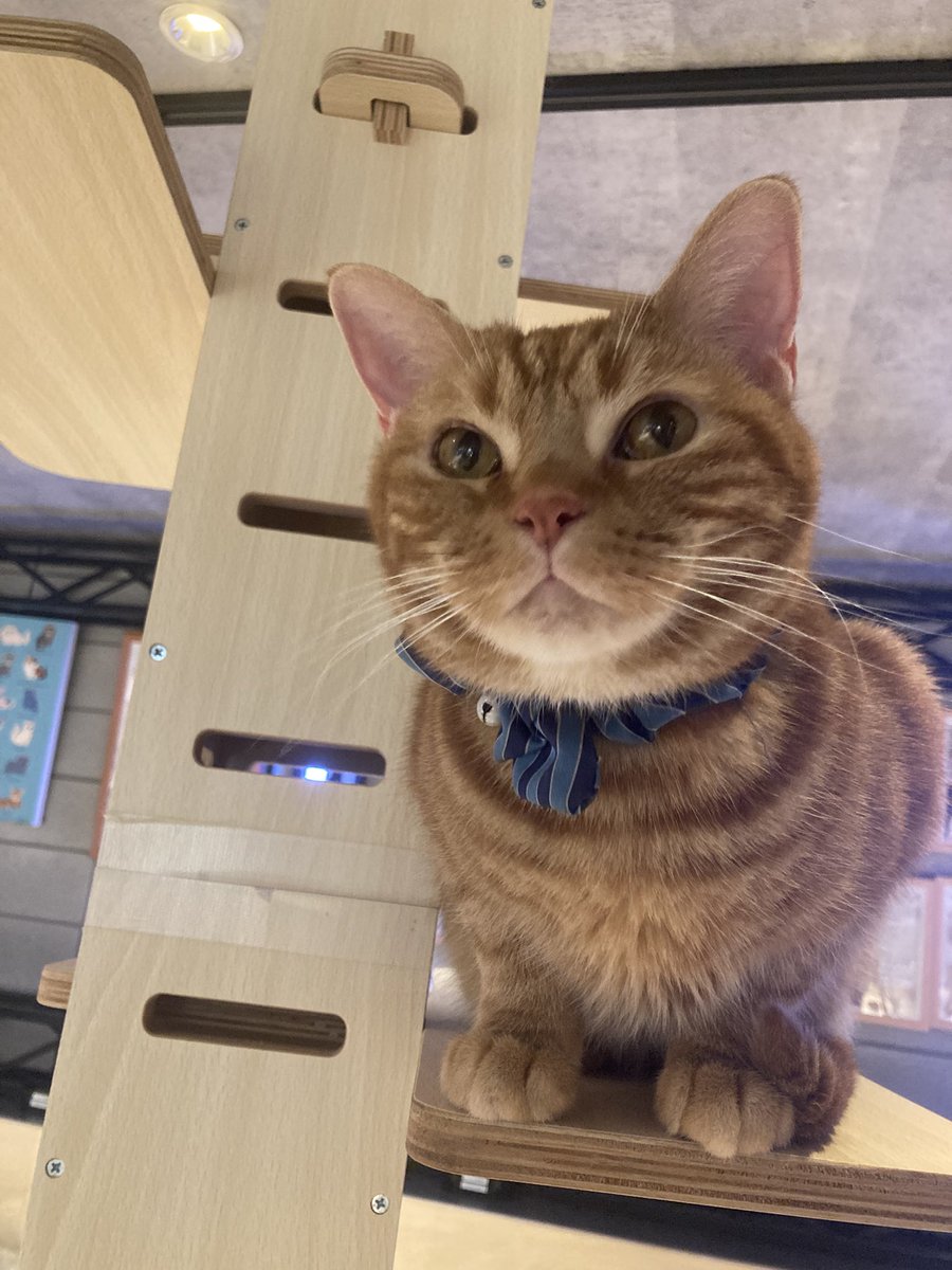 ꪔ̤̥ꪔ̤̮ꪔ̤̫なつきꪔ̤̥ꪔ̤̮ꪔ̤̫ (@7272Dragon) / Posts / X