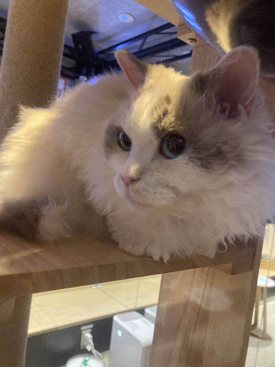 ꪔ̤̥ꪔ̤̮ꪔ̤̫なつきꪔ̤̥ꪔ̤̮ꪔ̤̫ (@7272Dragon) / Posts / X