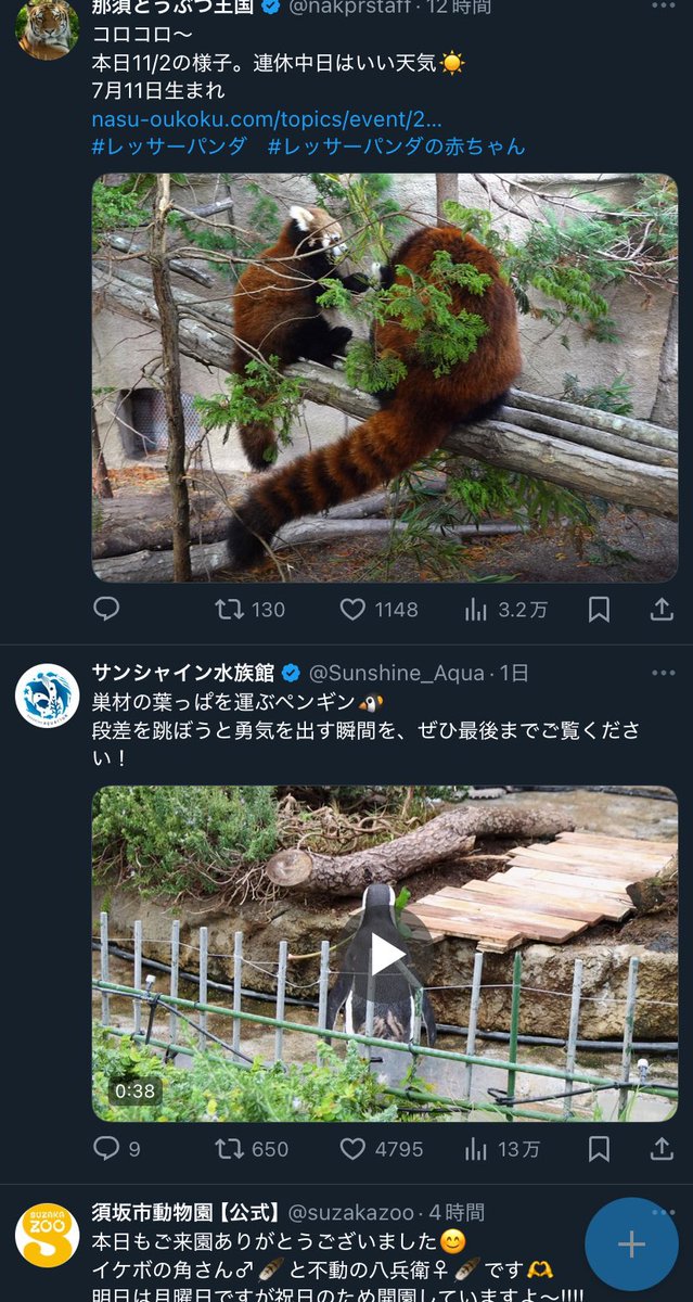 おすすめタブが動物園と水族館の公式ツイばかりになって安寧♡