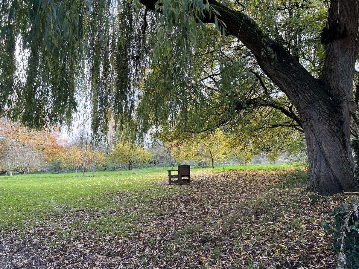 «Seguro que ahora vienen las personas y lo joden» (Óleo sobre lienzo)