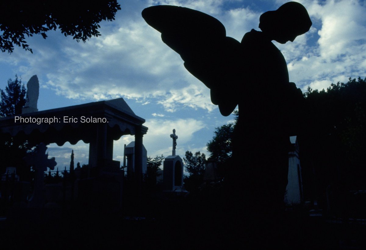 Iconema Films tweet media