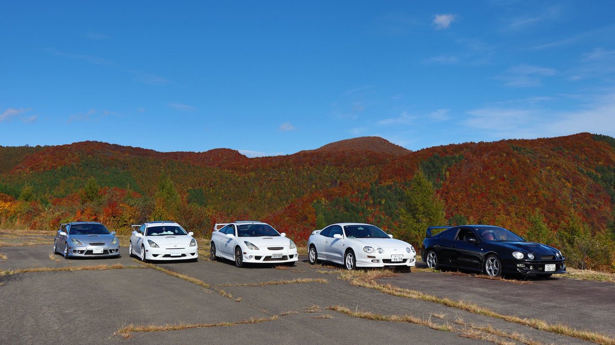 ｾ̆̈ﾘ̆̈川🐭🏰 tweet media