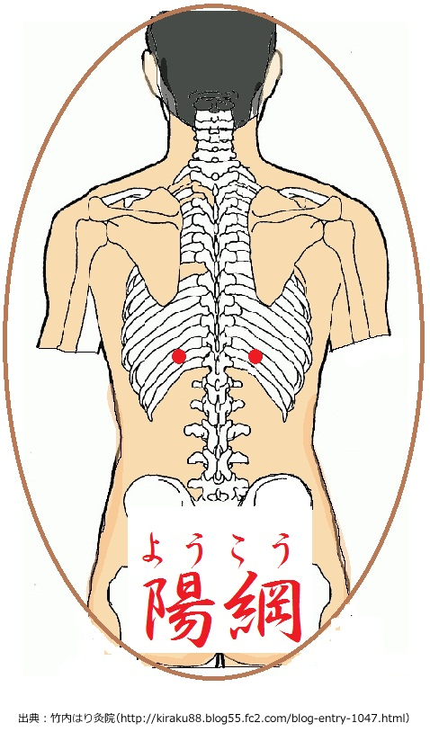 本当に！？と思って調べたら本当だったすごい
