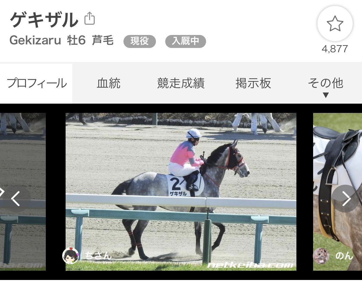 競馬本質情報ch on X