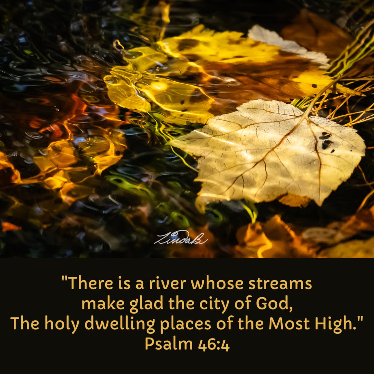 LSBofEBB's tweet image. Good Morning and God's Blessings!
#itsSunday #godisgood #scripture #nature #stream #fall #Photographer