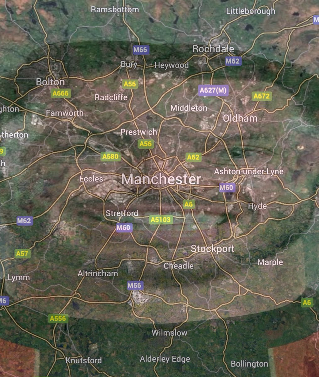 Silly Smithy :) 🤪 tweet media