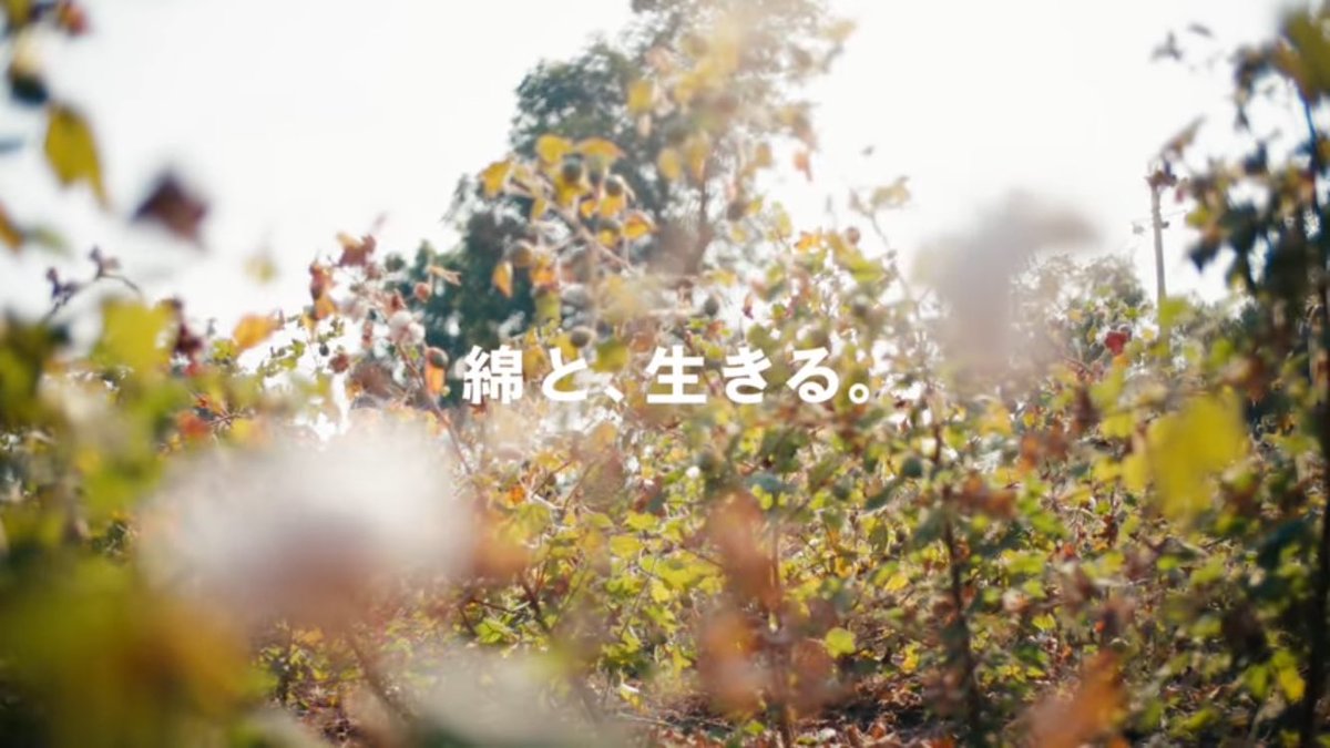 odbodbodbodbo's tweet image. こんだけシンプルなフォントなのにデザインスキームだけでロゴも出さずに一瞬で無印だと認識させるのすごいよな