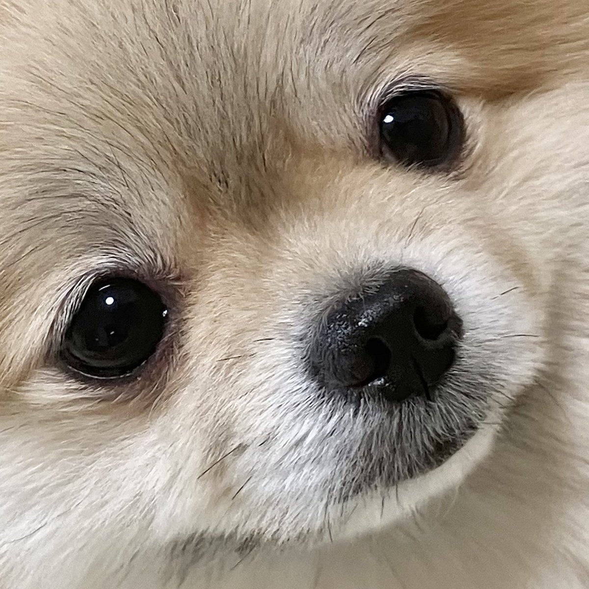 とんすけ (@tonsuke85) / Posts / X