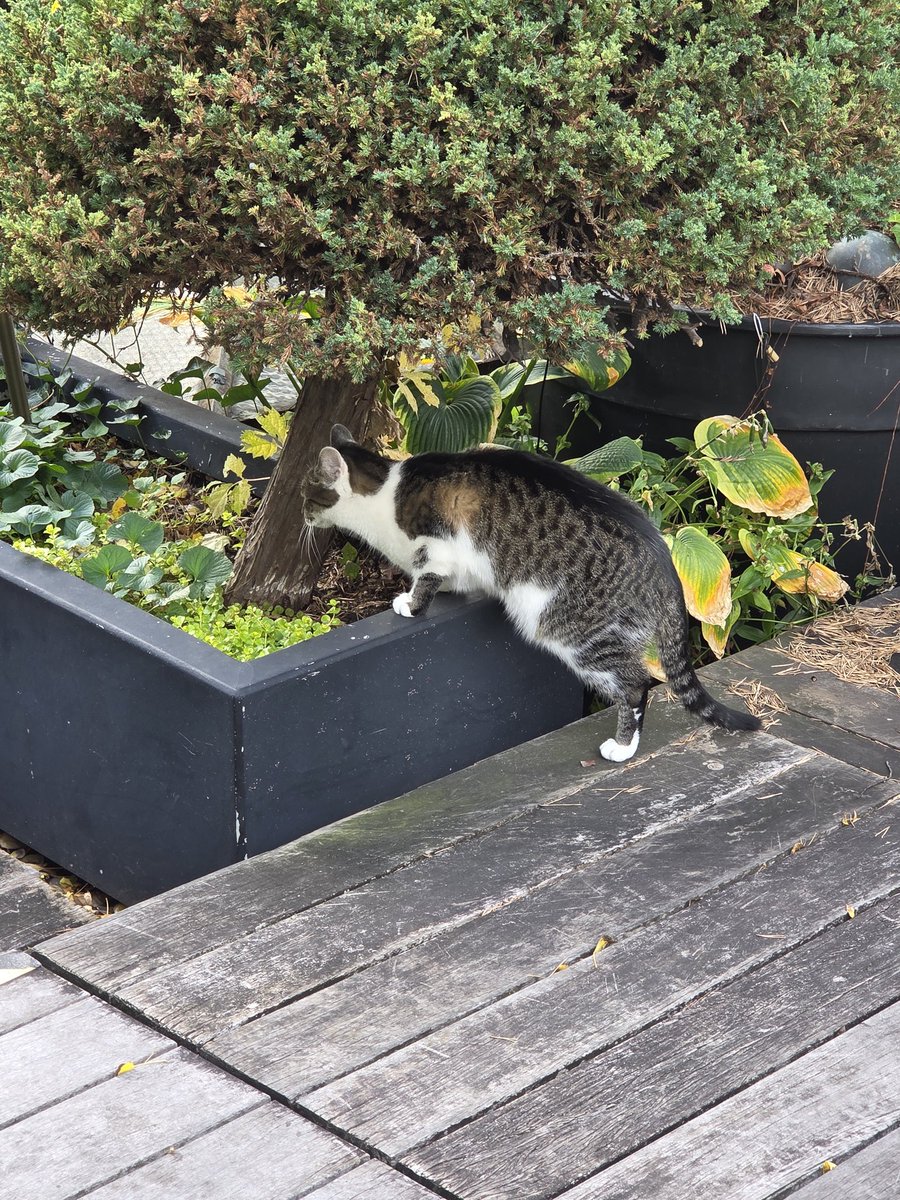 >>/ wedding weekend went well 👍