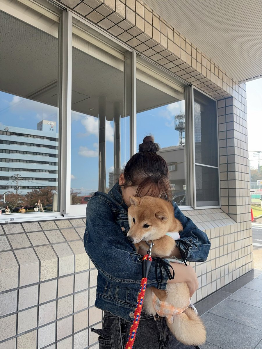 DE_Official (@Dolphin_tweet) / Posts / X