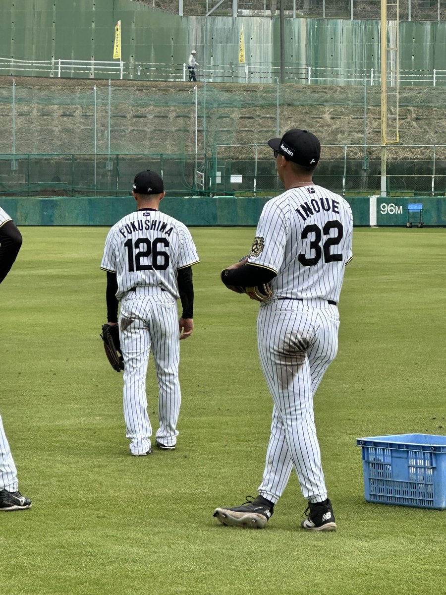 阪神タイガース 井上広大 #32 バット NPBマーク 支給品 実使用 阪神