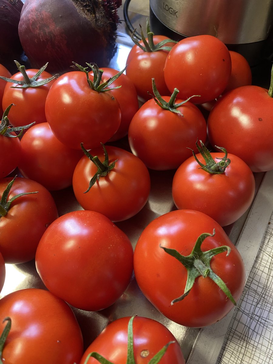 Medwyn Williams tweet media