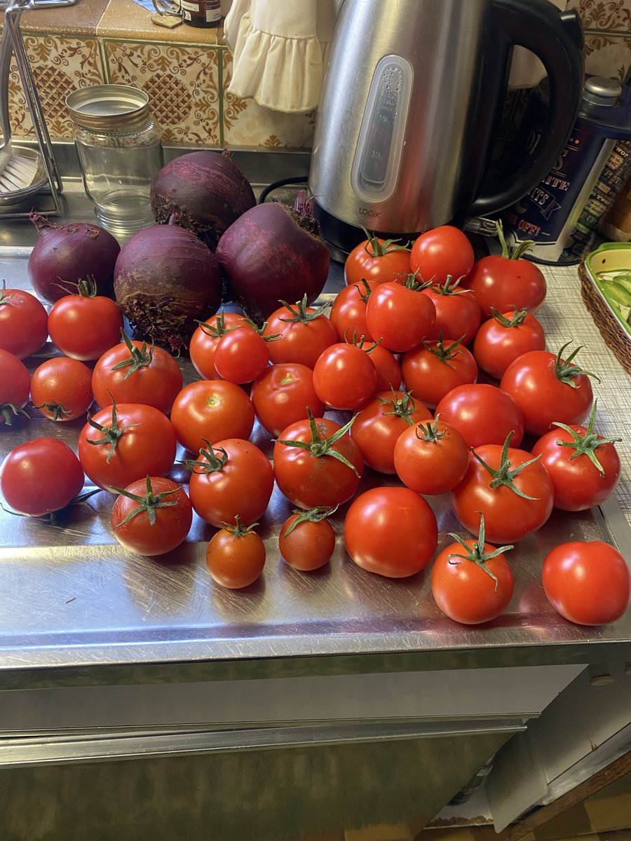 Medwyn Williams tweet media