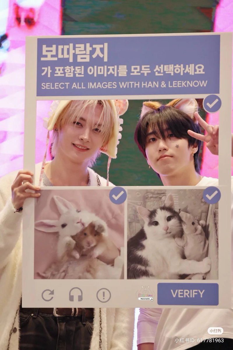 퀔냥냥 📌🔄 tweet media