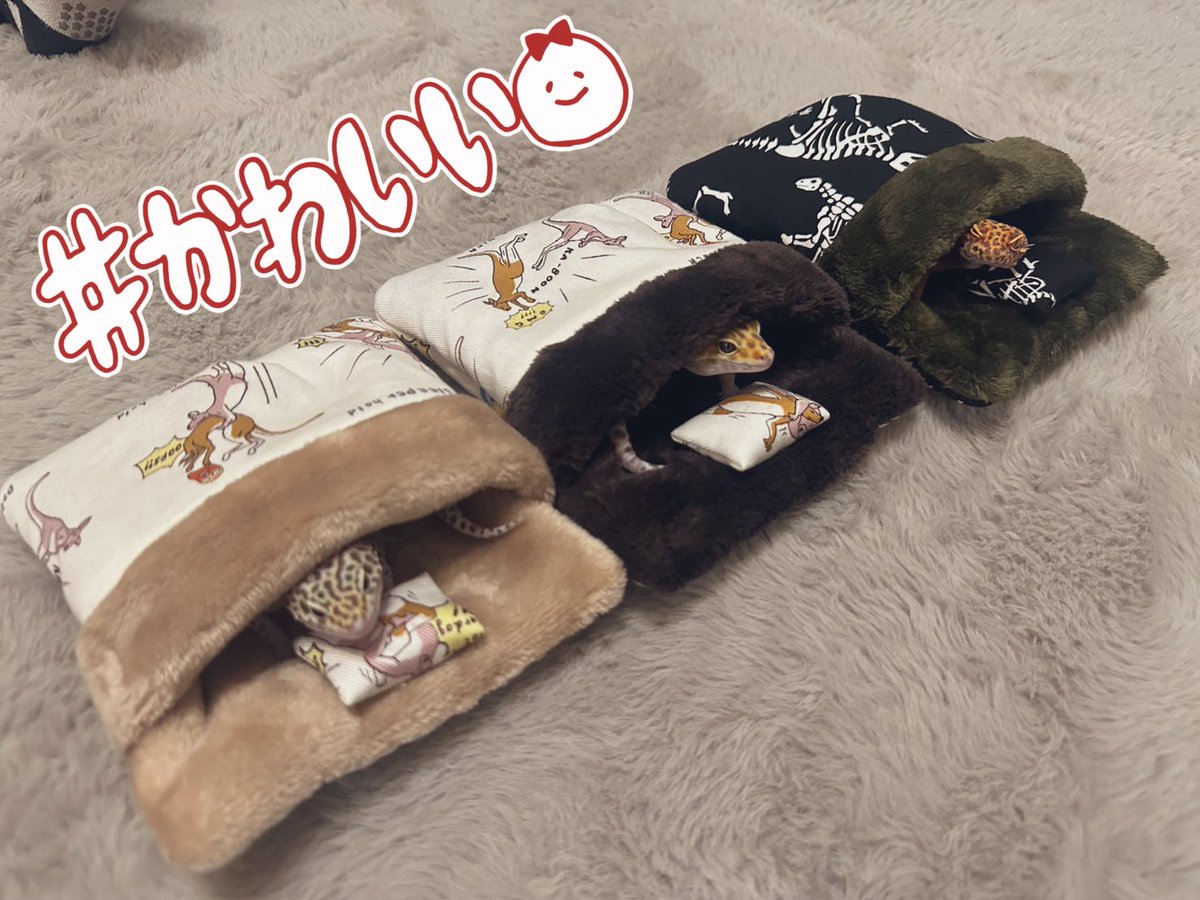 マロ姫様 ご確認ページ ダックス マロ姫様 ご確認ページ ダックス マロ姫様 ご確認ページ ダックス