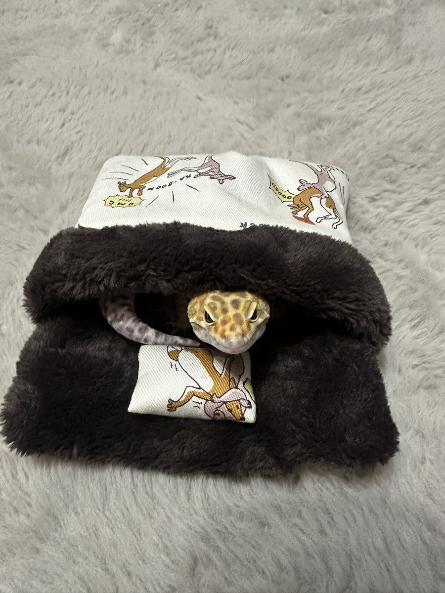 ワンコ様1 ま〜すん。MD on X