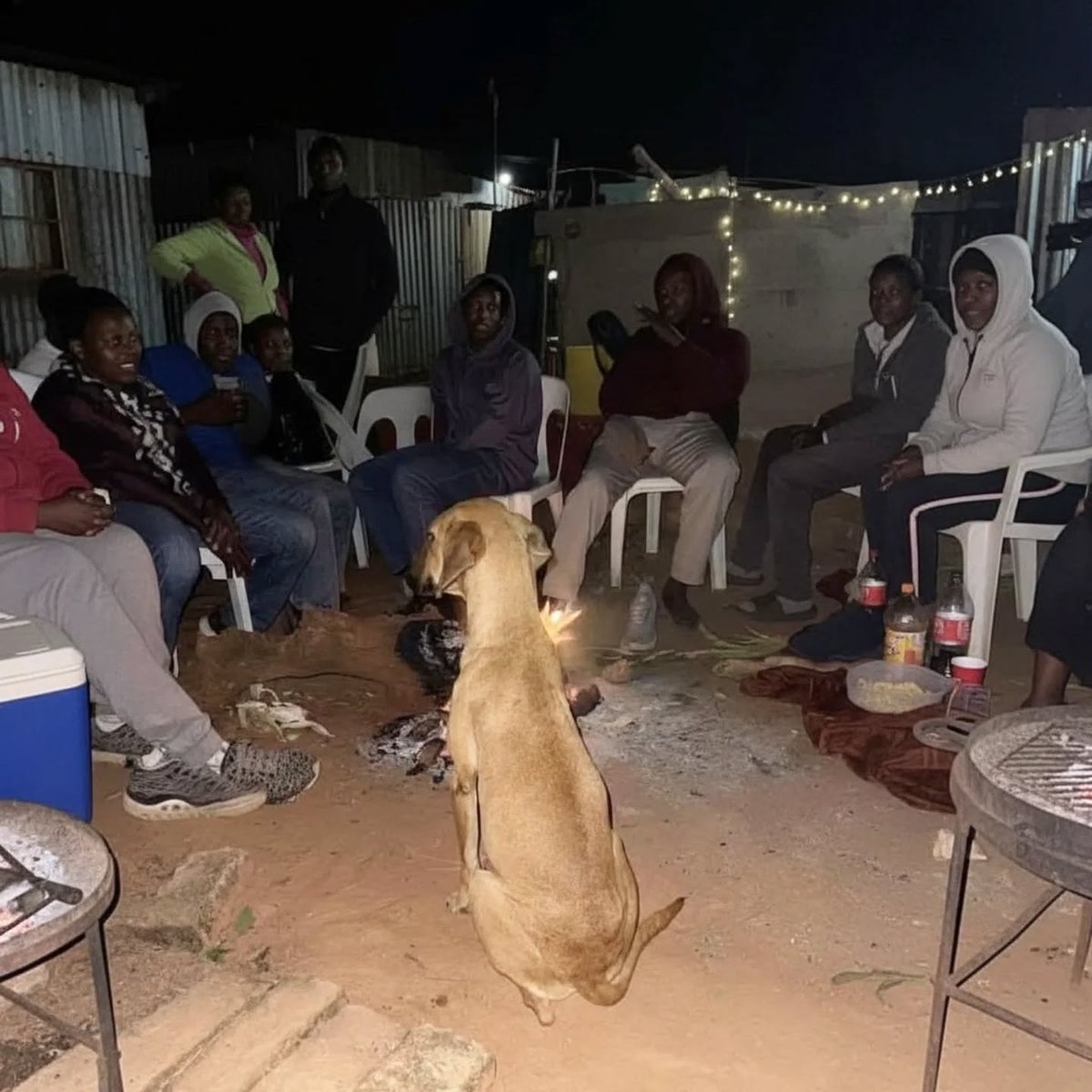 AfricanHub_'s tweet image. The African shepherd attending a family meeting