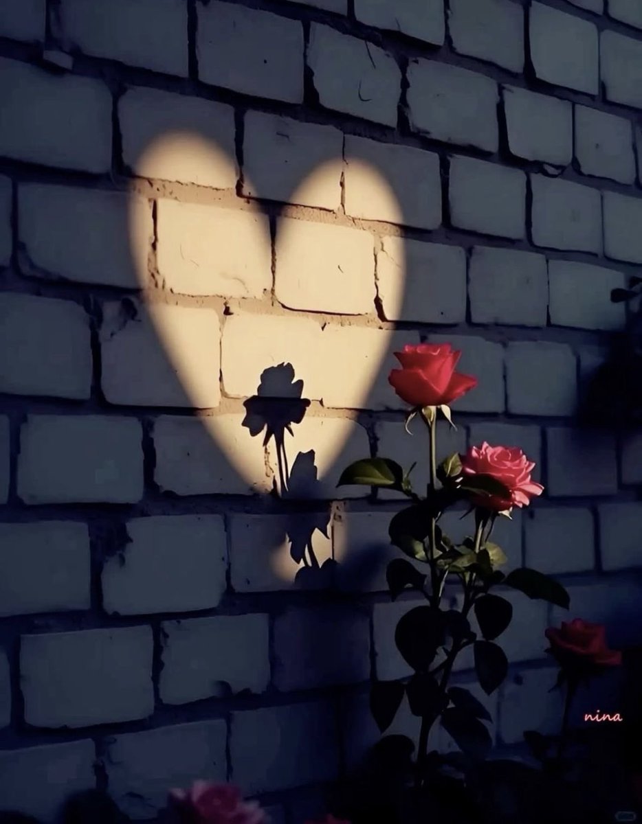 الظلمُ مهما تجبّر وتوهّم أنه قوة، فإن مصيره إلى زوال؛ فالعاقبة دائماً للعدل، والهزيمة مكتوبة على جبين الجور.🖤🍂

#مساء_الخير