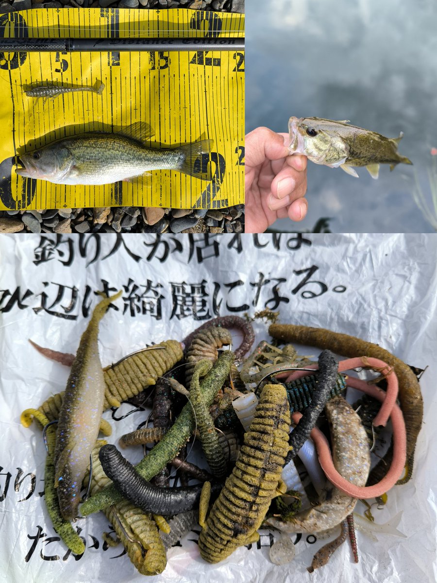 ニャン太郎 on X