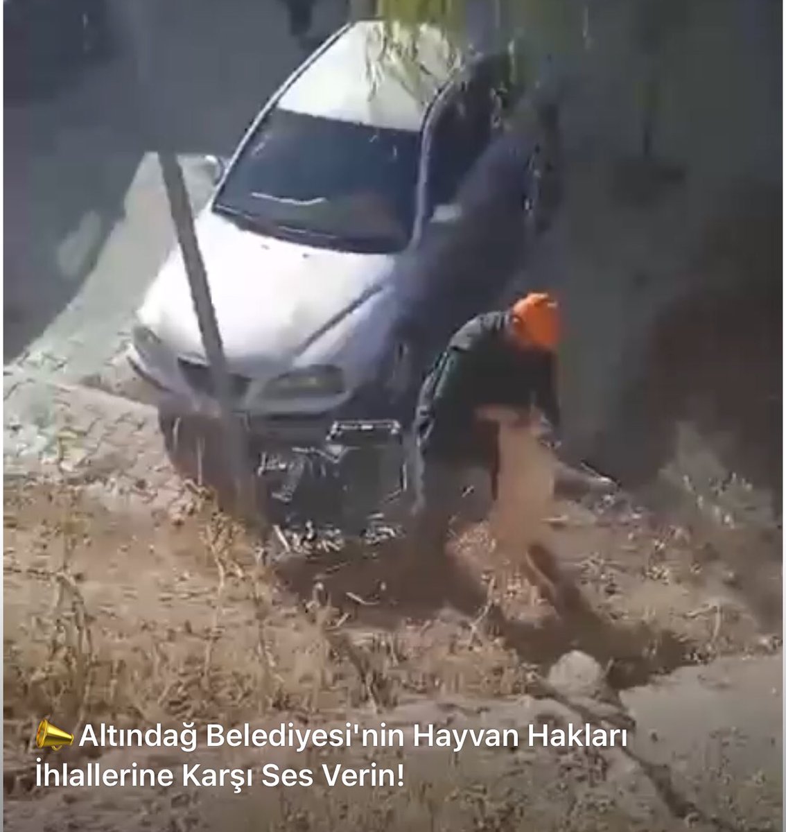 🟥 ANKARA’DAN TÜRKİYE’YE: ARTIK YETER!

Her sabah bir şehirde aynı sahne:
Bir araca sürüklenen köpek,
çığlıklar arasında susturulan canlar,
ve utanmadan söylenen o cümle:
“Biz devletiz.”

Hayır.
Devlet, yaşamı koruyandır.
Devlet, merhameti ve adaleti temsil eder.

Ama bugün