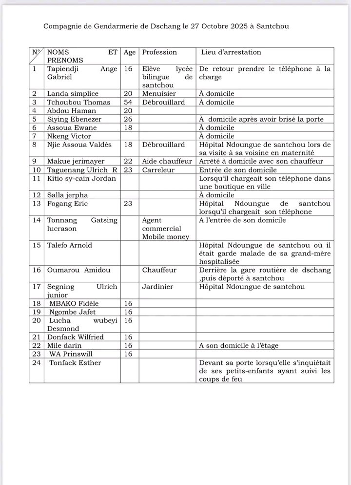 FloreMboussi's tweet image. Liste provisoire des personnes interpellées au Cameroun, depuis le début de la crise Post électorale.

#FreeCameroon