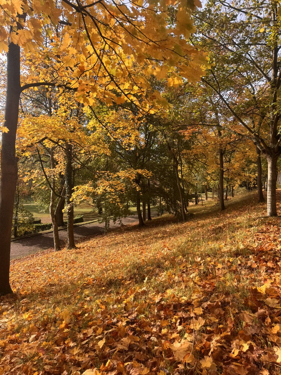 jorge pirès (@piresjorge5) on Twitter photo 