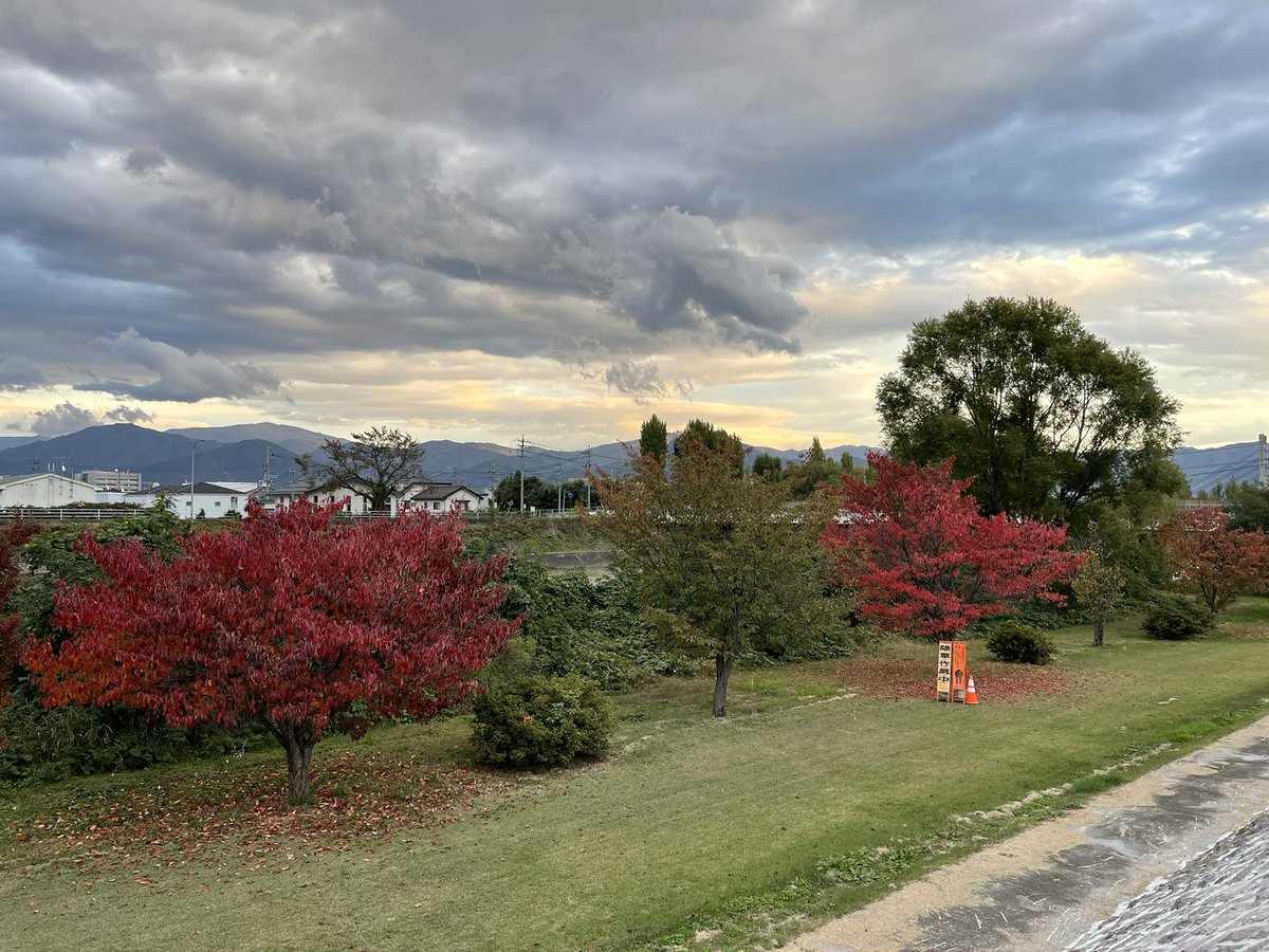 いつも夜ウォーキングするから気づかなかったけどキレイに紅葉してました。