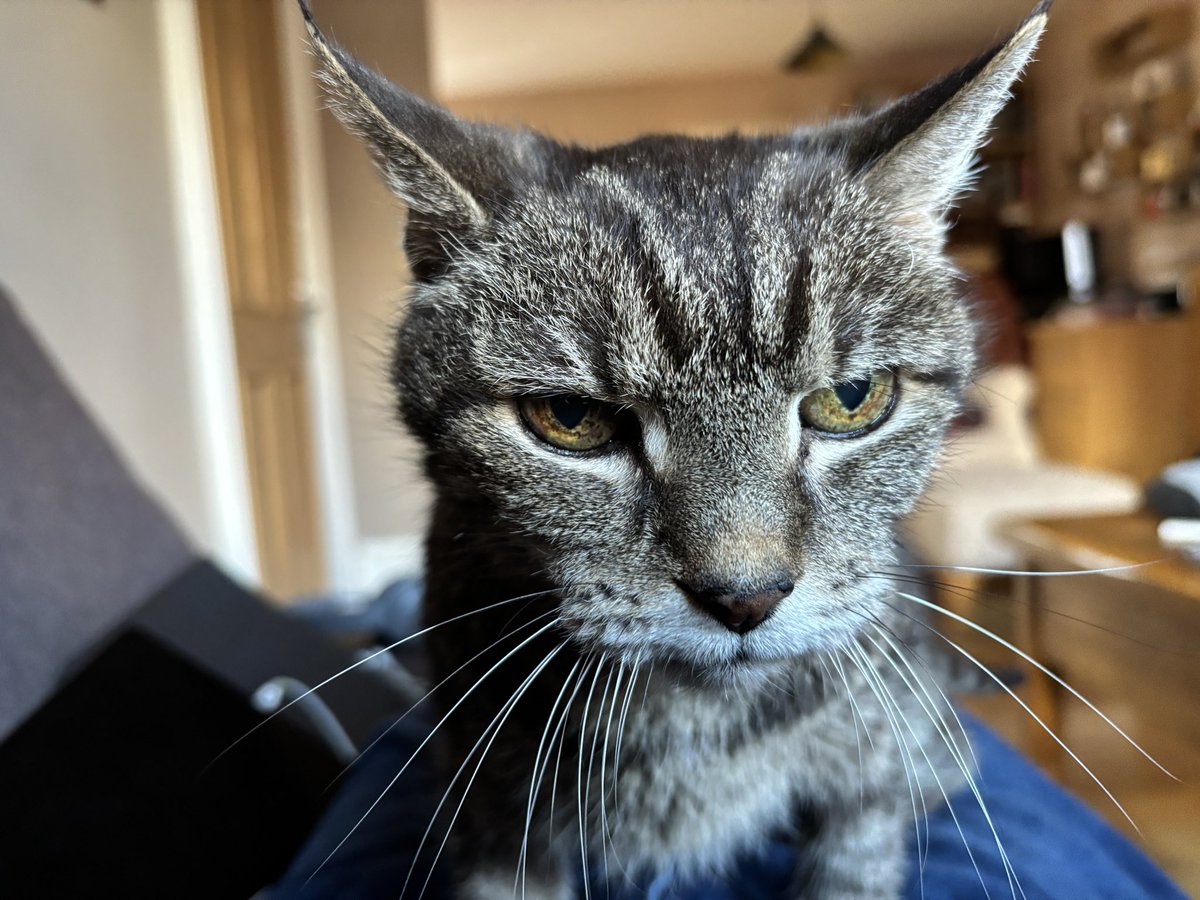 Brian Jenkins tweet media